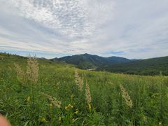 -灵山