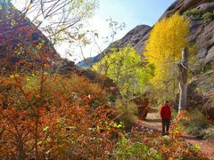 -宁夏中卫寺口旅游区(苏武牧羊遗址)