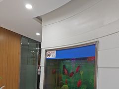 -雅悦齿科(顾村公园店)