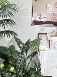 -LEILEI NAIL蕾蕾美甲美睫