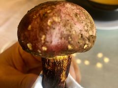 -锦腾轩滇味餐厅