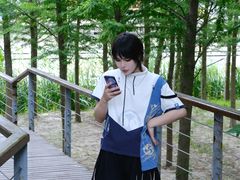 -荷兰花海