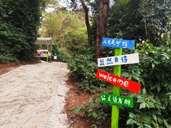 -芦仙山景区-飞越丛林探险乐园