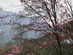 -九皇山景区
