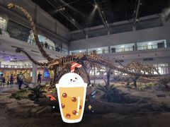 -自贡恐龙博物馆