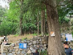 -阳台山自然风景区