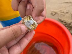 -秦皇岛新澳海底世界
