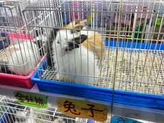 -花鸟鱼虫鲜花绿植市场(玉泉路店)