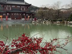 -华清宫景区