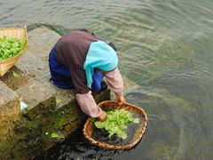 -大理无舍度假酒店