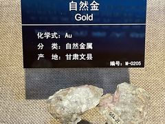 -甘肃地质博物馆