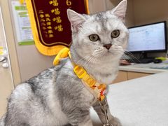 -瑞鹏宠物医院·超声·骨科·奇麟分院(蜀都万达店)