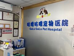-咕噜咕噜宠物医院·CT·肿瘤科·骨科(前海院)
