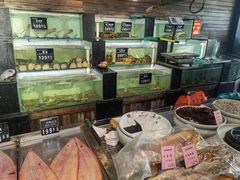 -浩运·海鲜青岛菜·海胆水饺(石老人店)