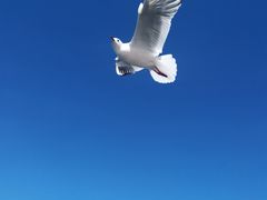 -海埂大坝