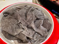 鲜毛肚-安胖老火锅(两路口店)