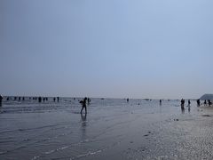 -大鹿岛