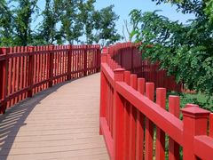 -杭州湾海上花田景区