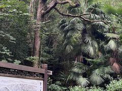 -黄公望隐居地