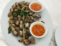 花螺-老三鱼仔店