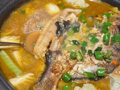 -探鱼·鲜青椒爽麻烤鱼(领展购物广场店)