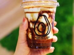 -油梨树AVOCADO TREE(嘉里中心店)