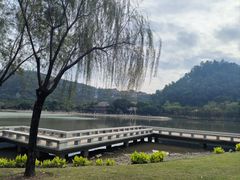 -顺峰山公园