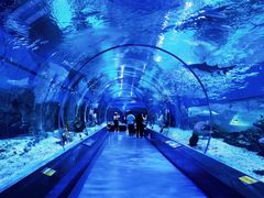 -海合安武汉极地海洋公园