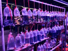 -华声天桥民俗文化园