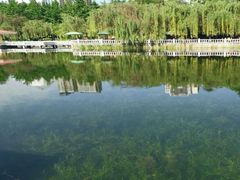 -绵阳人民公园(涪城区)