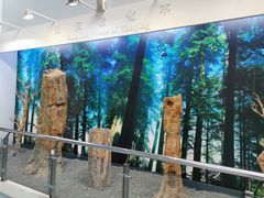 -延庆地质公园博物馆