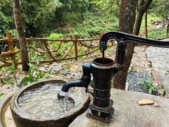 -广州白江湖森林公园