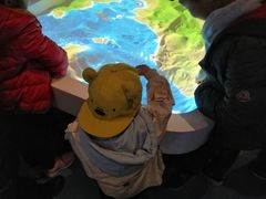 -烟台海昌鲸鲨海洋公园