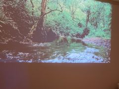 -沐森 •疗愈头疗馆(打浦桥店)