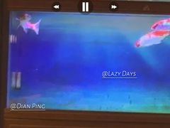 -虾享蟹逅小龙虾·螃蟹·小海鲜(吉林省总店)