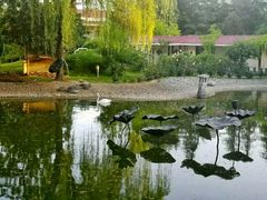 -曲江惠宾苑宾馆(大雁塔大唐不夜城店)