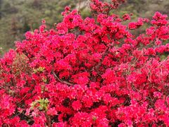 -木兰云雾山