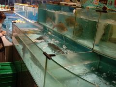 -钵家大院·地道湖北菜(江夏·大花岭店)