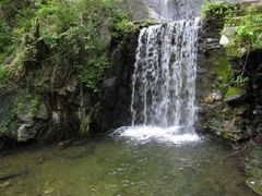 -盛世牡丹苑生态文化旅游区