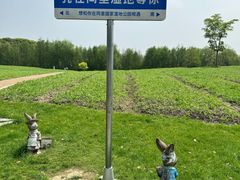 -同里国家湿地公园