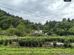 -石台牯牛降景区