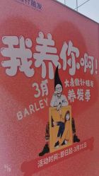 点击看大图 -大麦微针植发全国连锁