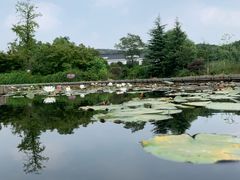 -白马涧龙池景区
