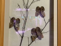 -陕西自然博物馆