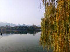 -西湖外事游船(花港观鱼码头)