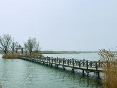 -野鸭湖国家湿地公园