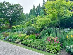 -上海滨江森林公园