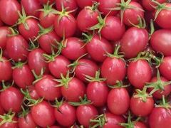 -回头客精品果业(西门店)