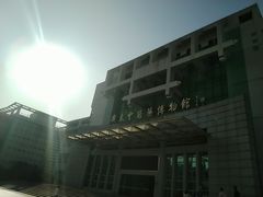 -广东中医药博物馆