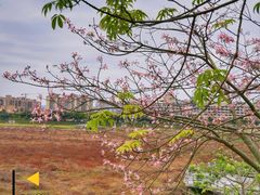 -风云岭森林公园
